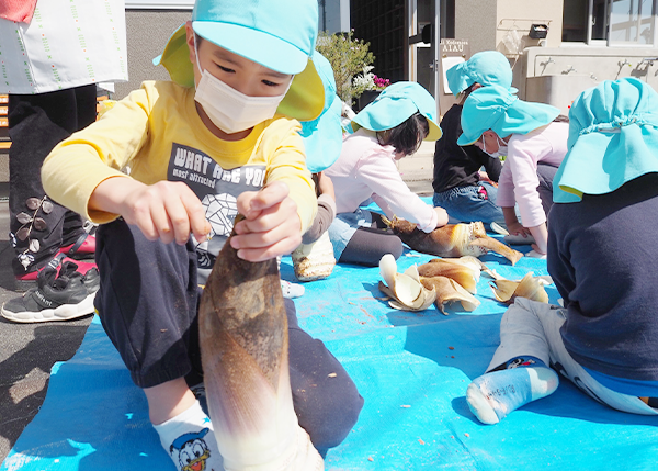 たけのこ皮剥き